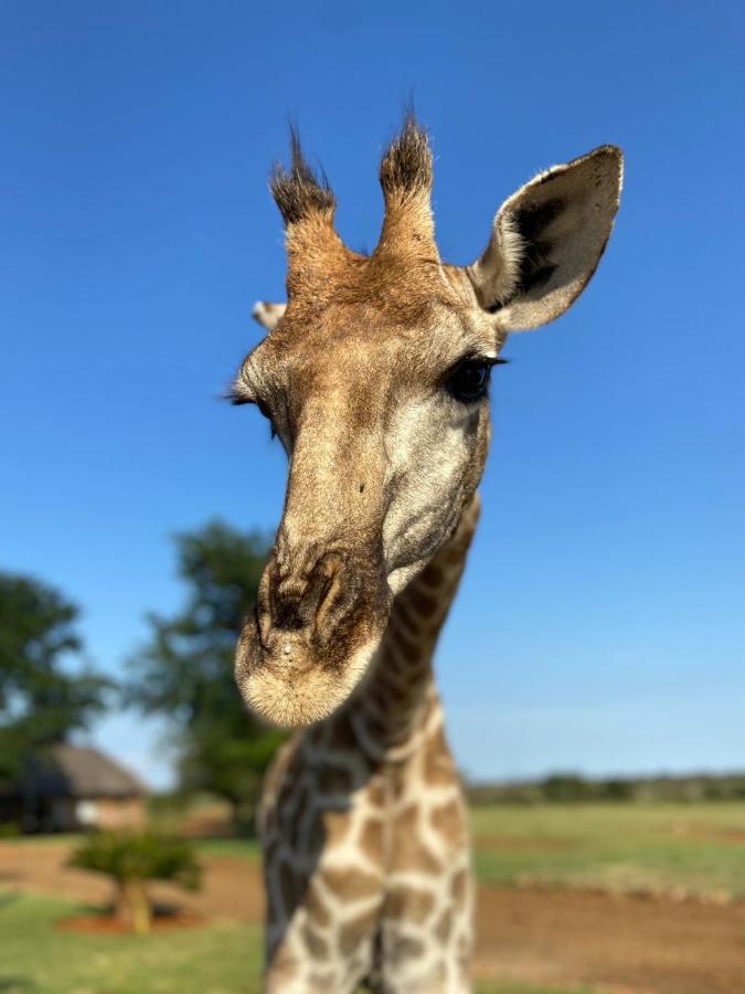 Morakane Safari Lodge Vryburg Εξωτερικό φωτογραφία